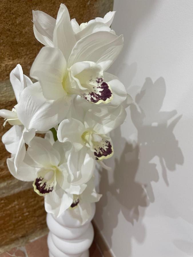 L'Arco Di Athena Villa Syracuse ภายนอก รูปภาพ